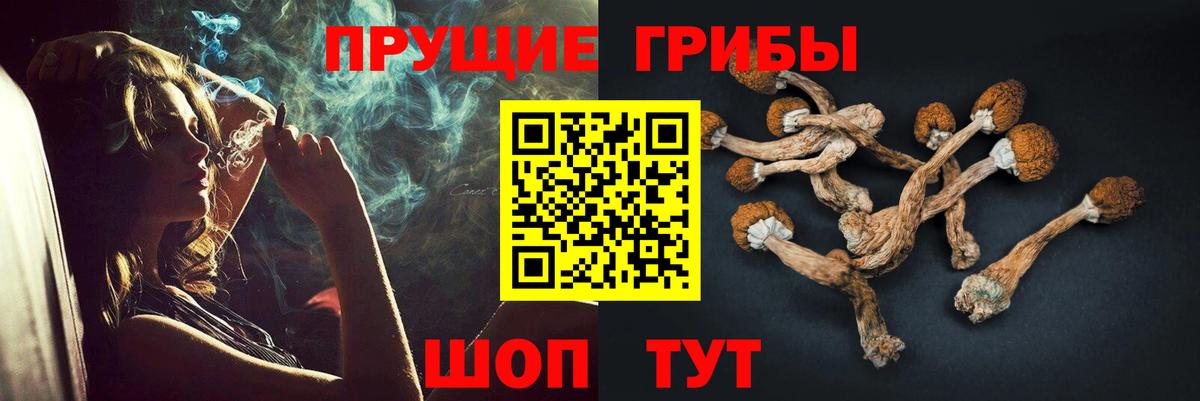 Верхний Уфалей  Галлюциногенные грибы Psilocybe  купить наркоту  Галлюциногенные грибы Cubensis  Вход с VPN 